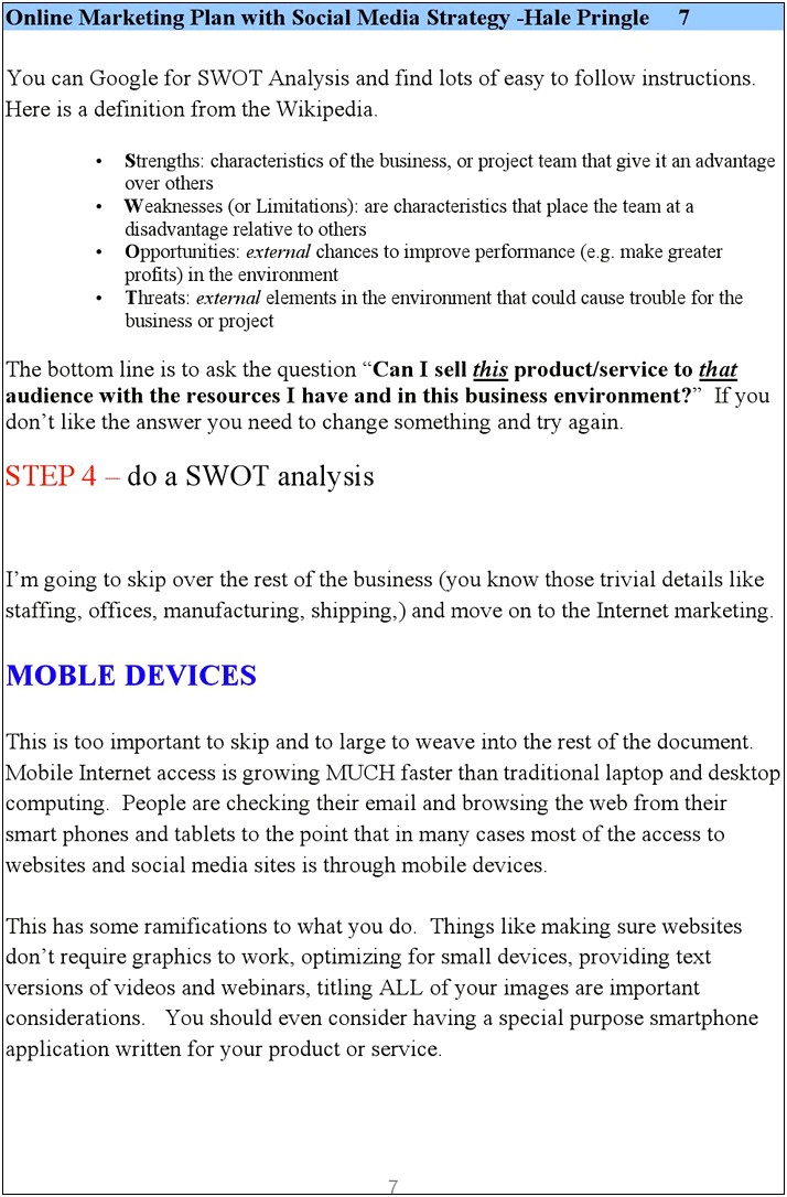 Social Network Business Plan Template Pdf