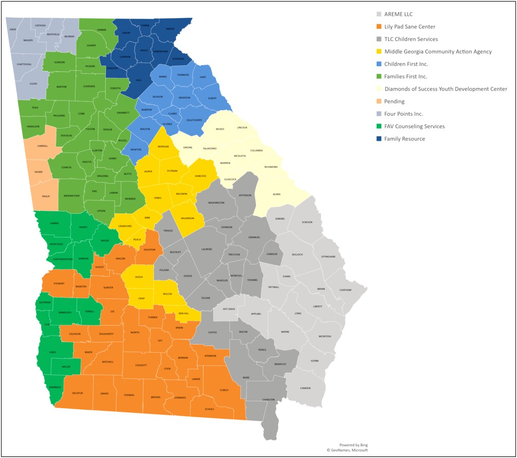 State Of Georgia Parenting Plan Template