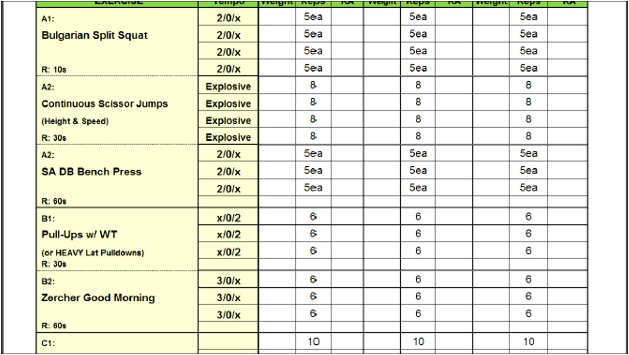 Strength And Conditioning Session Plan Template