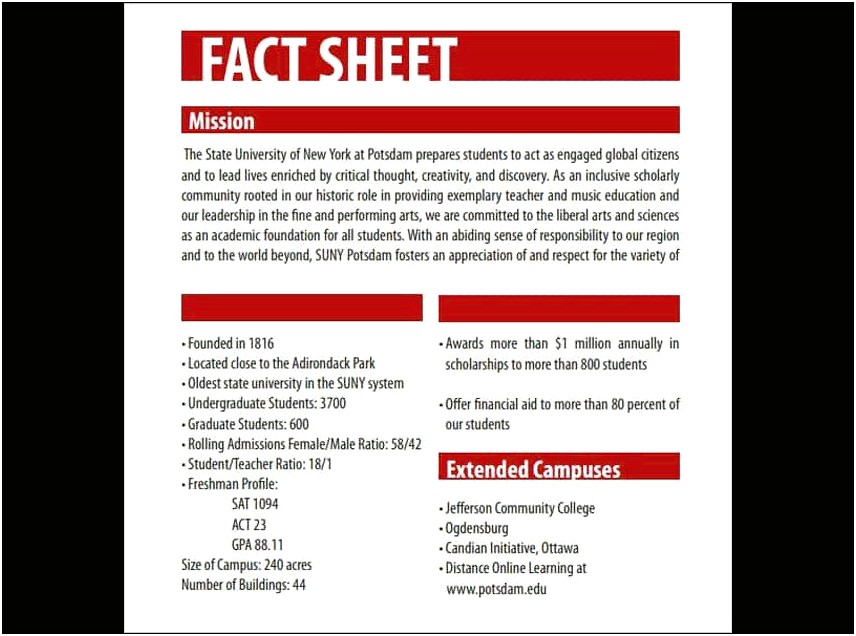 System Disorder Template On Word Document