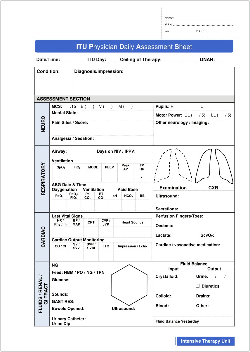 Systemic Assessment And Plan Template Icu