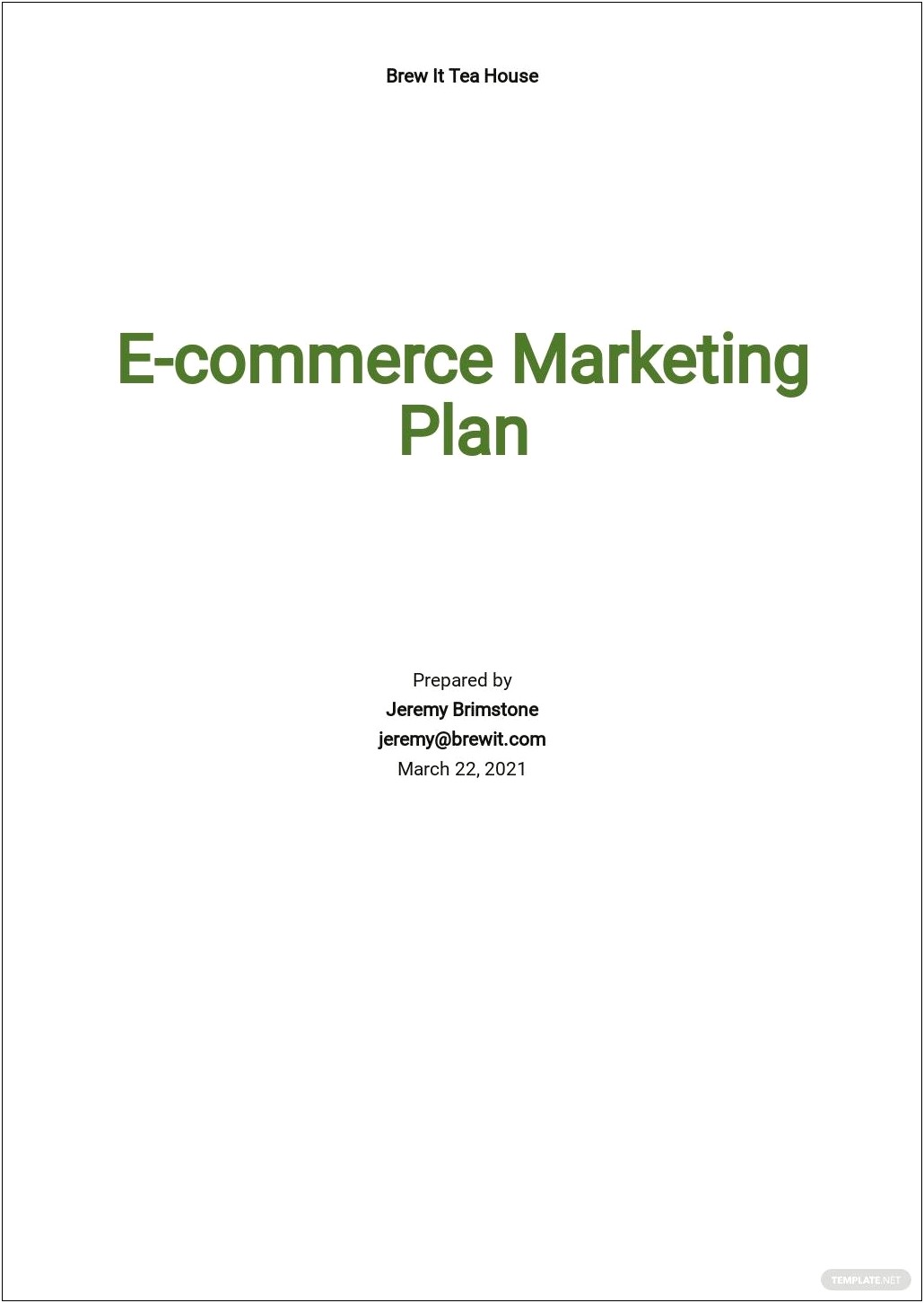 Template Business Plan On Google Drive