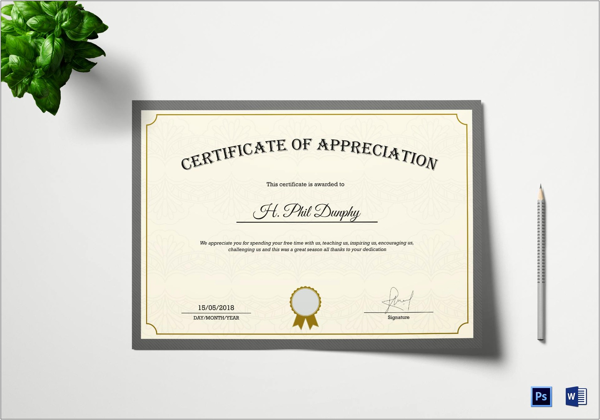 Template Example Of Certificate Of Appreciation Word