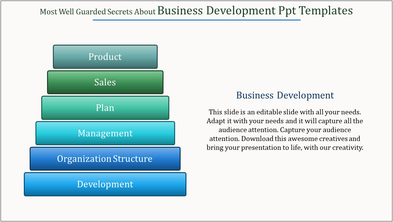 Template For A Business Development Plan