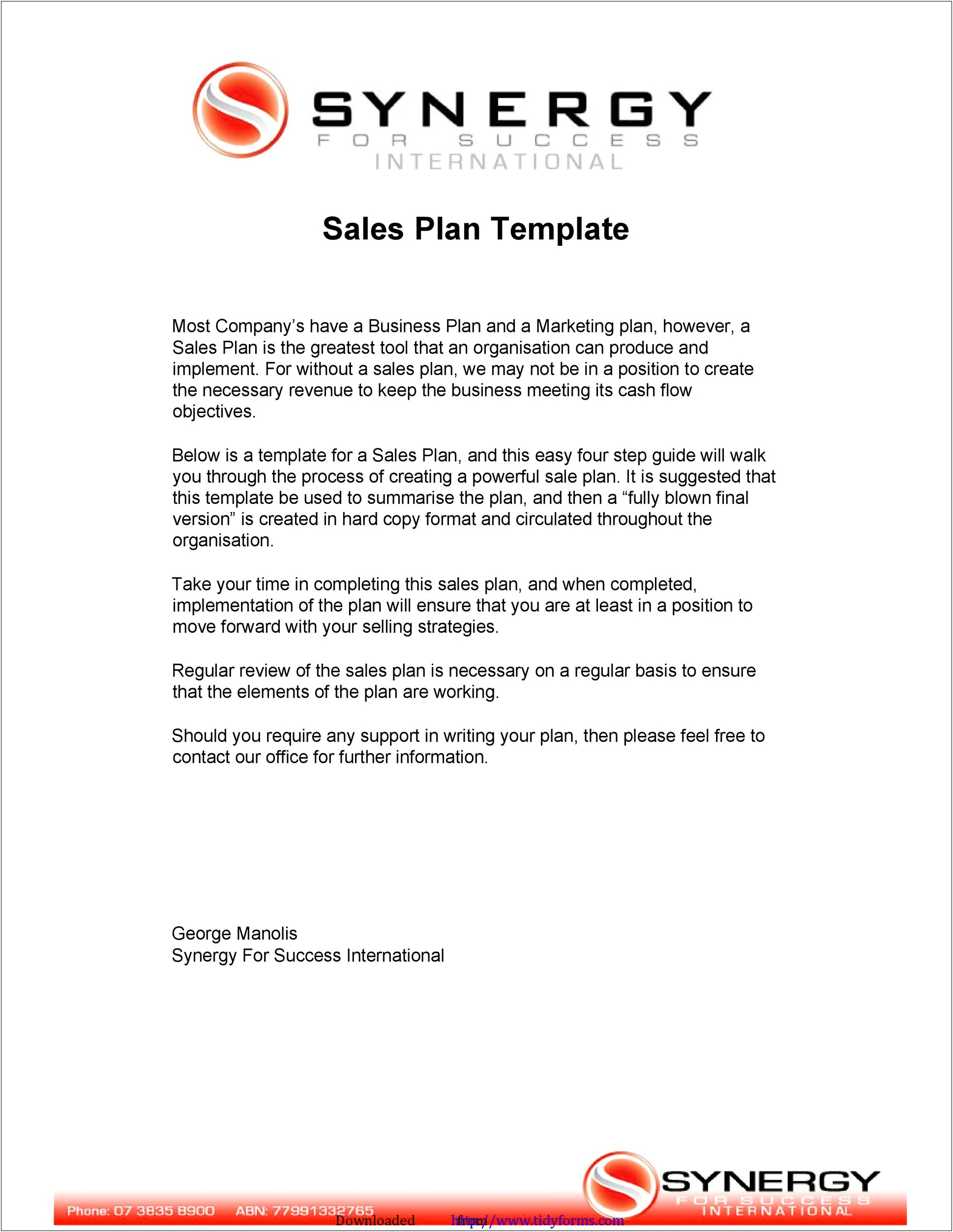 Template For Marketing Plan For Professional Services