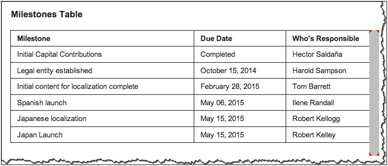 Template Plan Of Action And Milestones