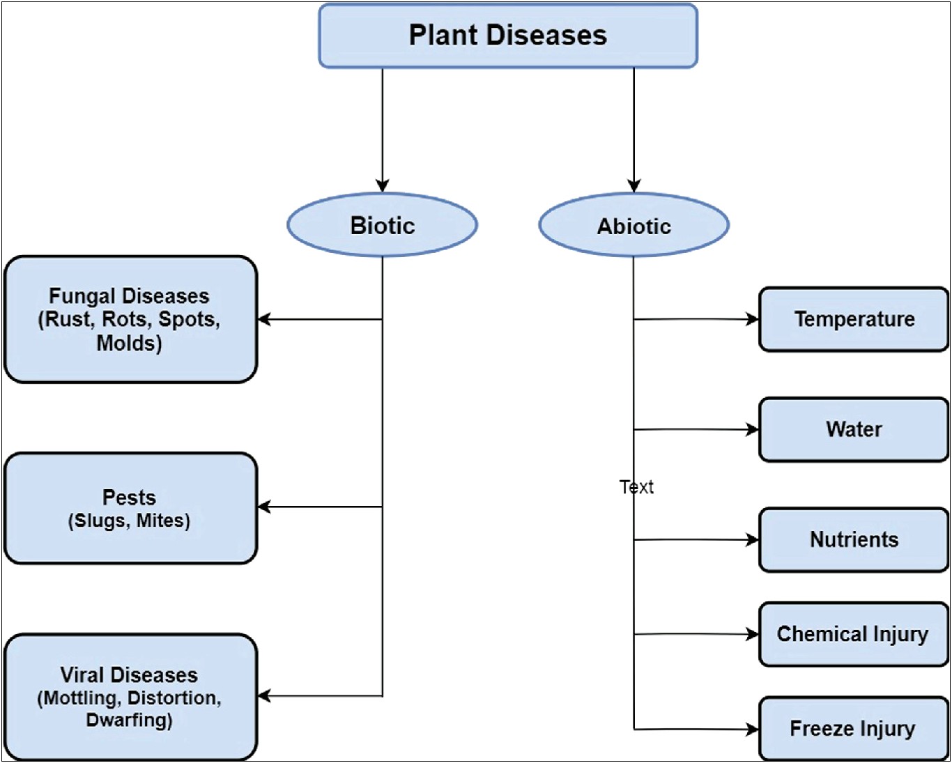 Template Word Document Plant Disease Report