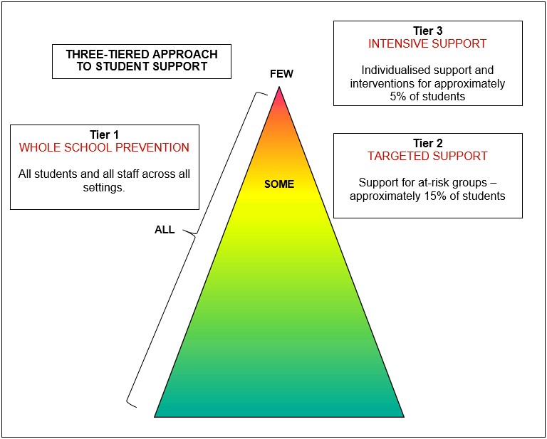 Training And Support Plan Template Qld