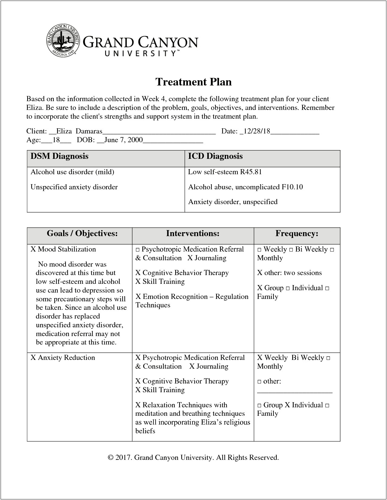 Treatment Plan For Support Group Template