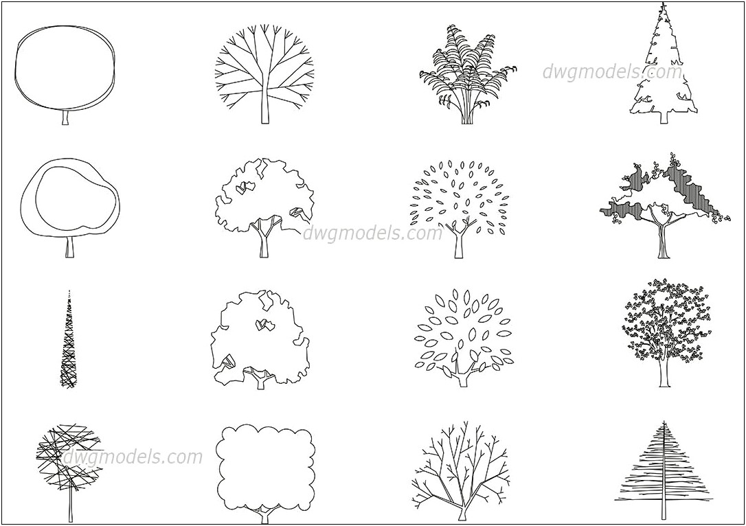 Tree Dwg Template Side View Plan