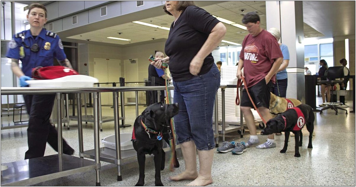 Tsa Service Dog Letter From Doctor Template