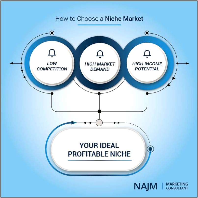 Two Year Niche Marketing Plan Template