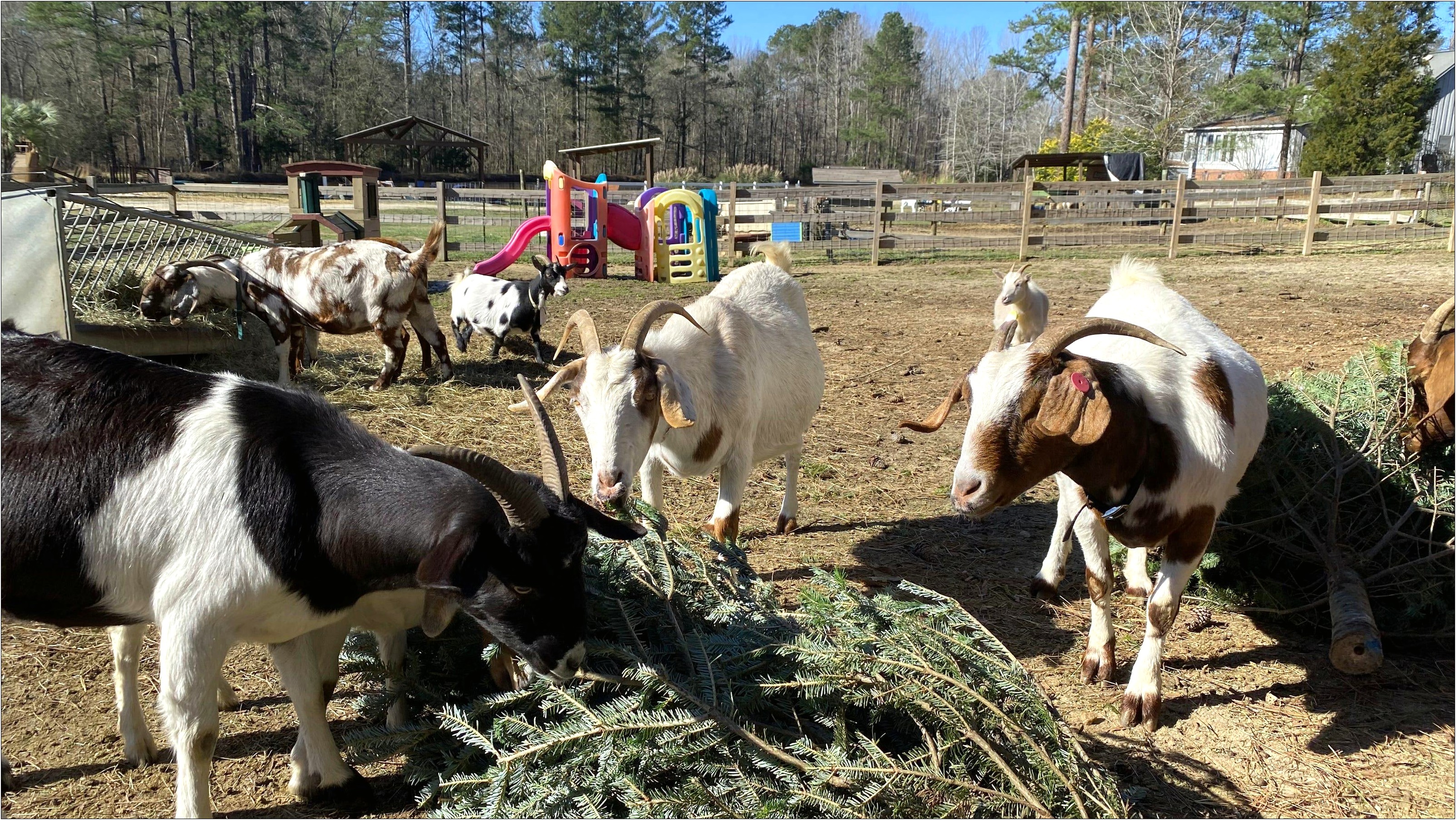 Usda Extension Farm Safety Plan Template