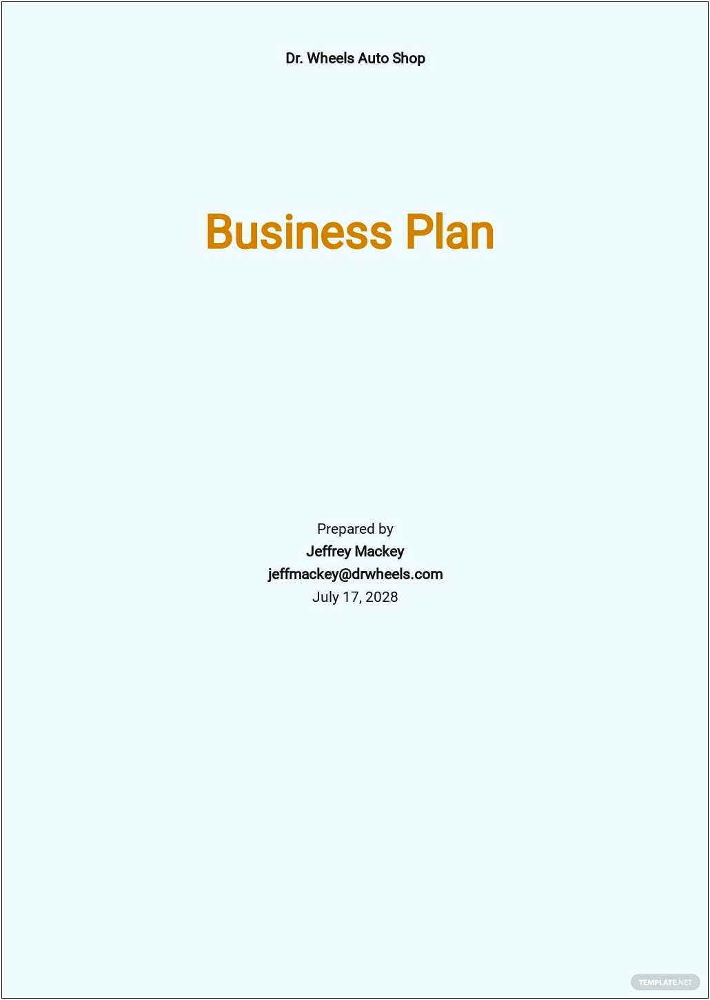 Used Car Dealer Business Plan Template Pdf