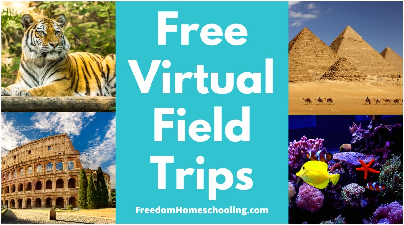 Virtual Field Trip Lesson Plan Template