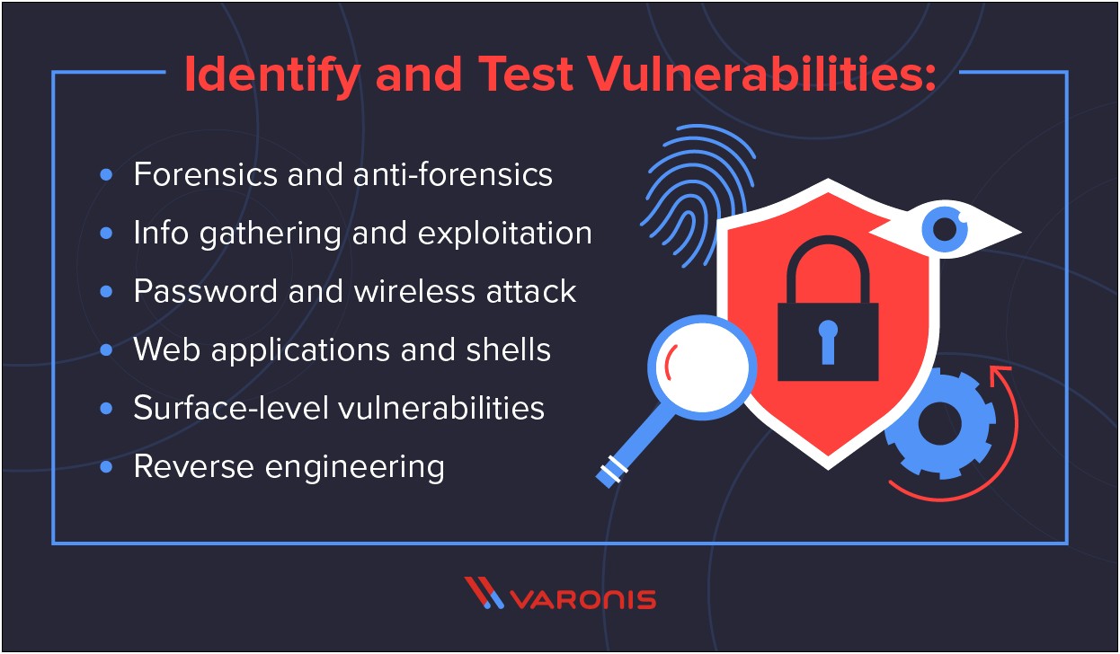 Vulnerability Assessment And Penetration Testing Plan Templates