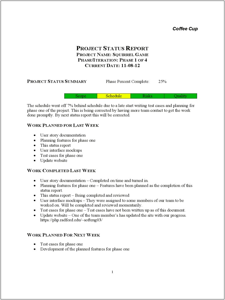 Weekly Report Template Microsoft Word Doc
