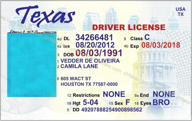 Word Template For A Drivers License