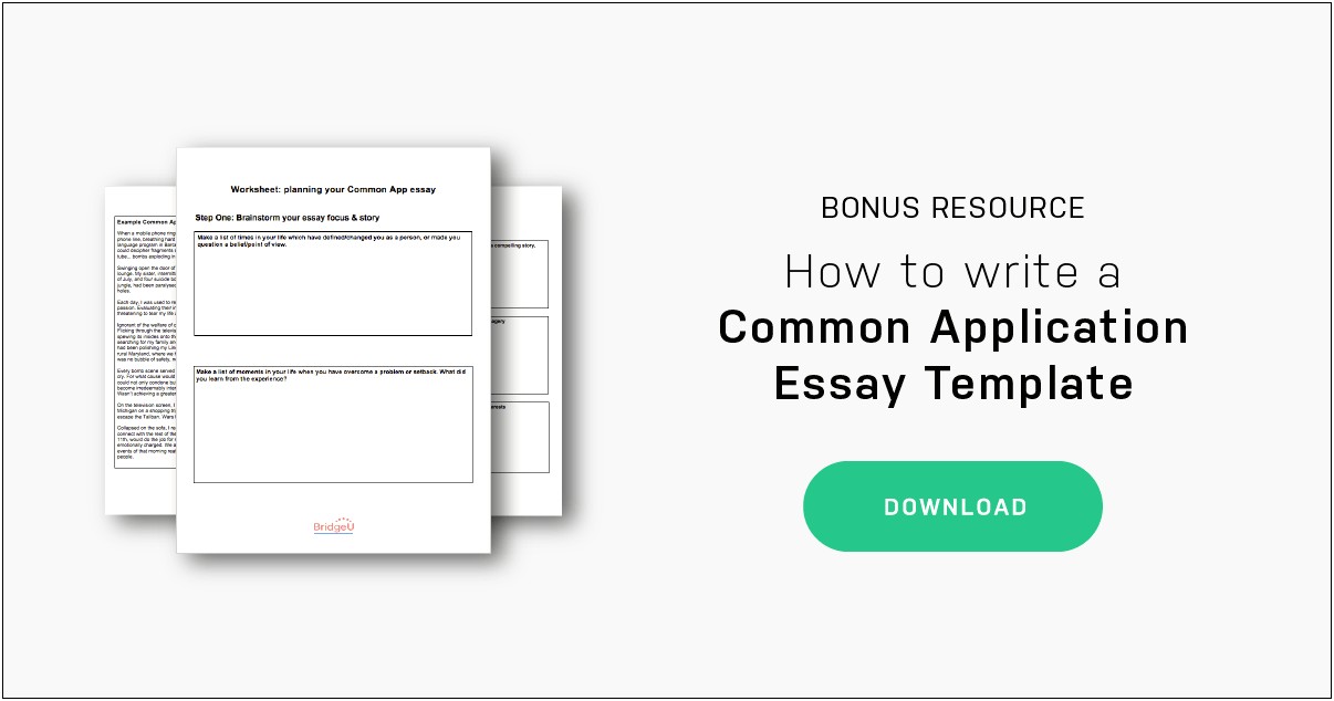 Worksheet Template For Planning An Essay