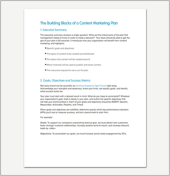 ﻿executive Summary And Marketing Plan Template